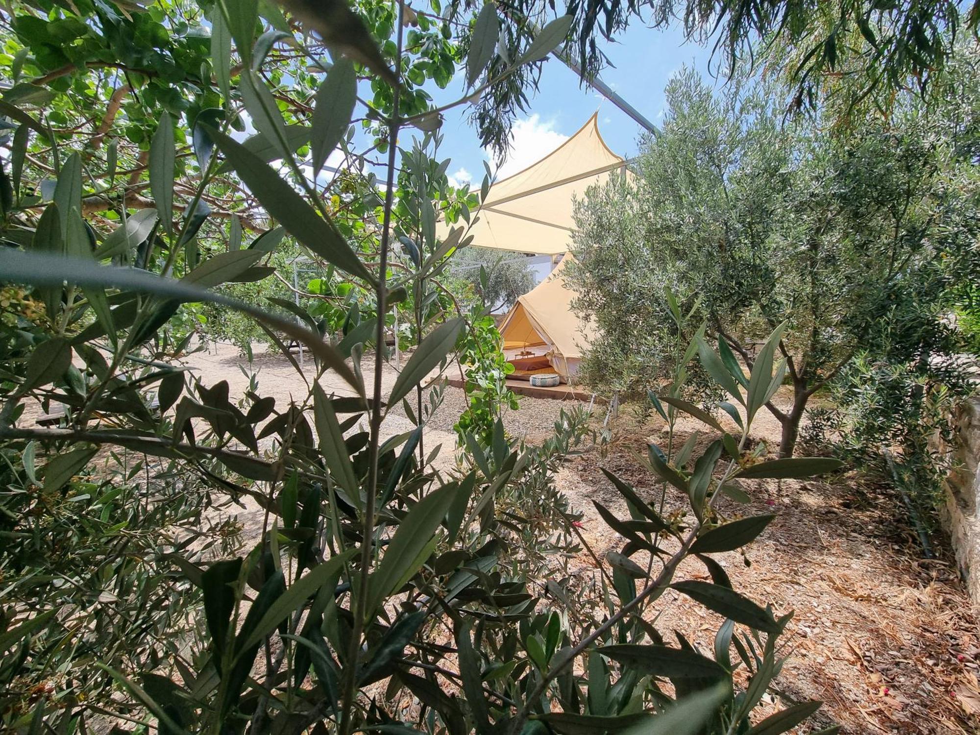 Anassa Cycladic Village Galissas Habitación foto